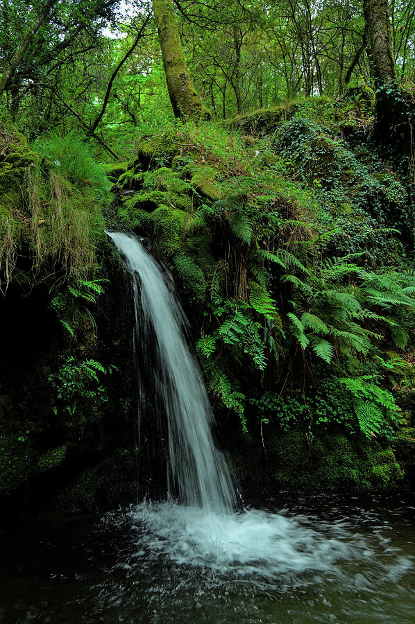 Waterfall in the middle of Carvalhais forest Photograph by Angelo DeVal