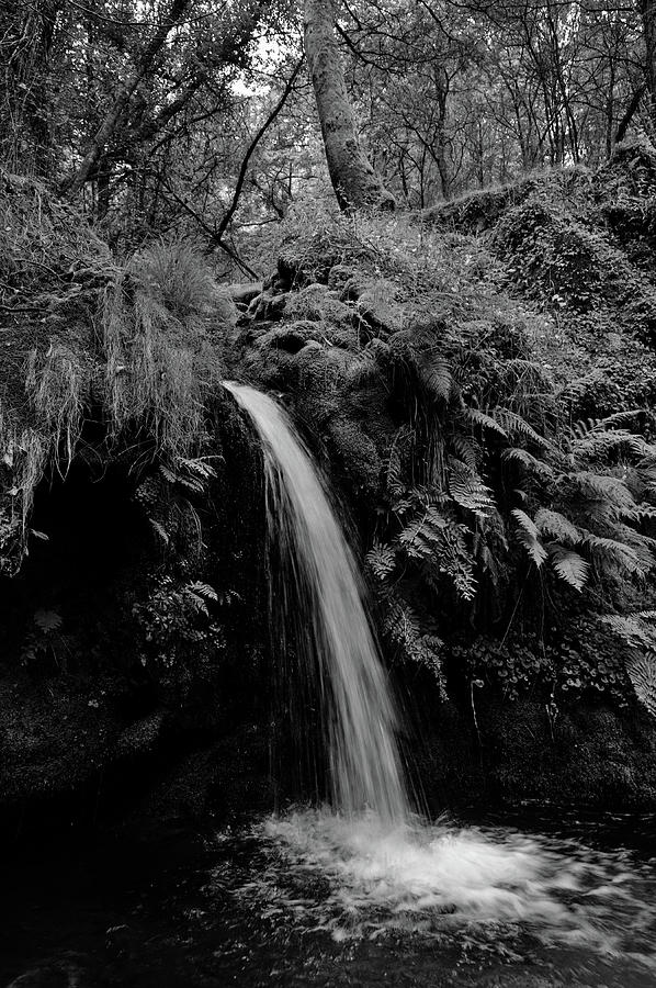 Waterfall in the middle of Carvalhais forest. Monochrome Photograph by Angelo DeVal