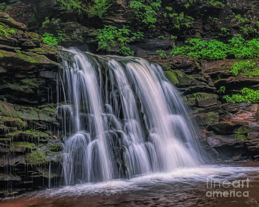 Waterfall in the Pennsylvania Woods Photograph by Nick Zelinsky Jr