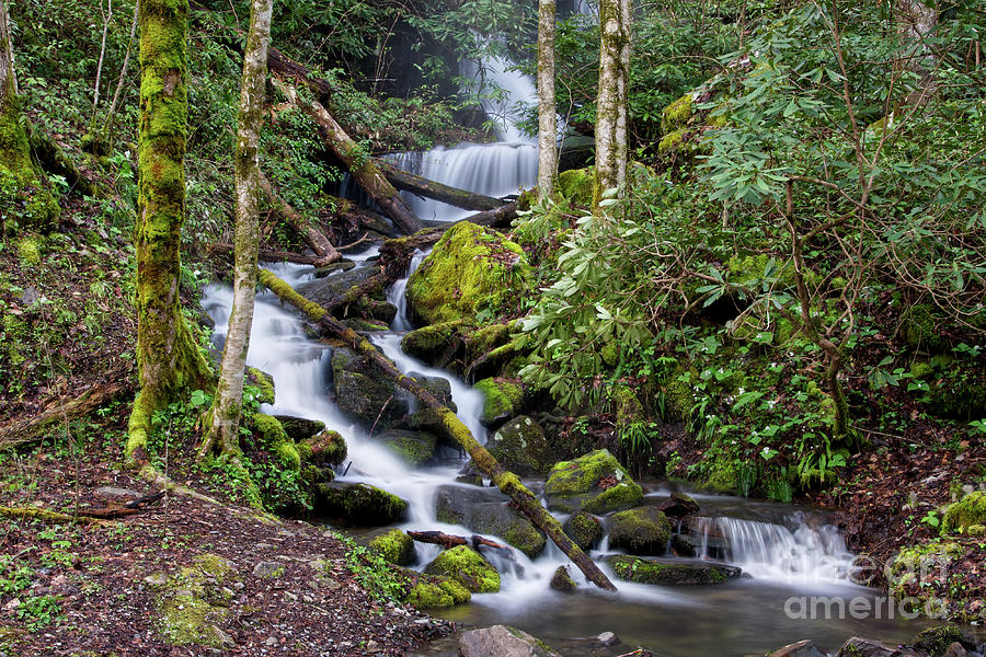 Waterfall In The Smokies 4 Photograph by Phil Perkins