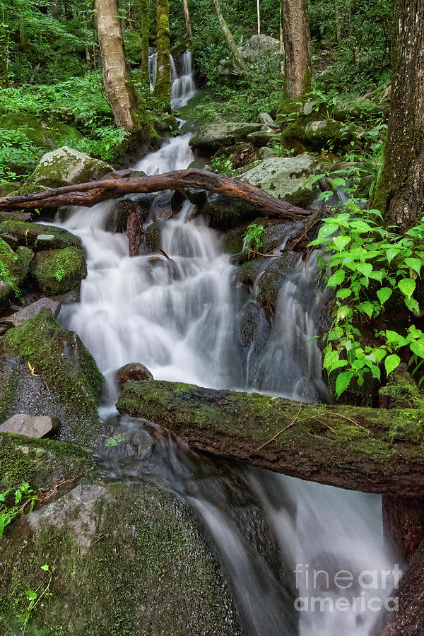 Waterfall In The Smokies 5 Photograph by Phil Perkins