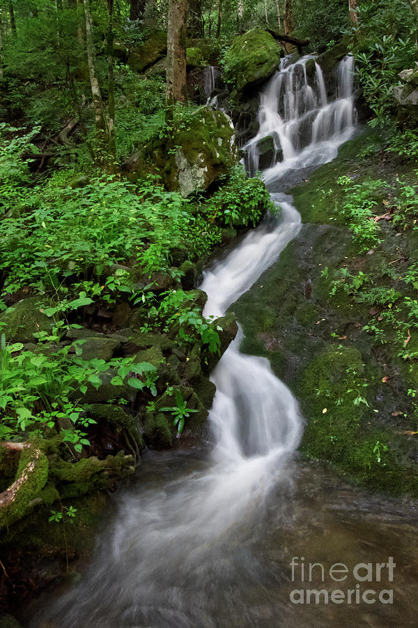 Waterfall In The Smokies 6 Photograph by Phil Perkins