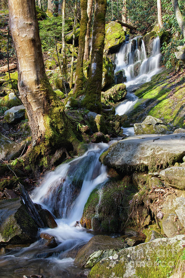 Waterfall In The Smokies Photograph by Phil Perkins