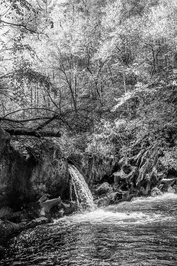 Waterfall in the Smoky Mountains Autumn Black and White Photograph by Debra and Dave Vanderlaan