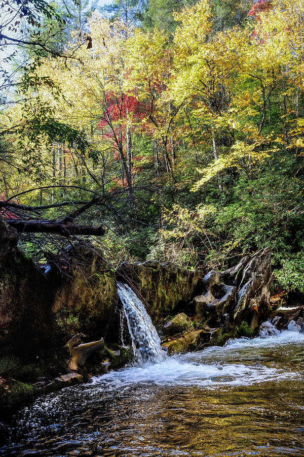 Waterfall in the Smoky Mountains Autumn Photograph by Debra and Dave Vanderlaan