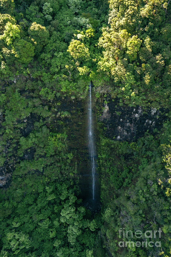 Tree Photograph - Waterfall in the Wilderness of NaPali State Park, Kauai, Hawaii by Nancy Gleason