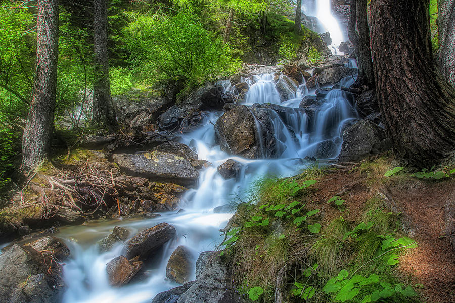 Waterfall in the wood Photograph by Roberto Pagani