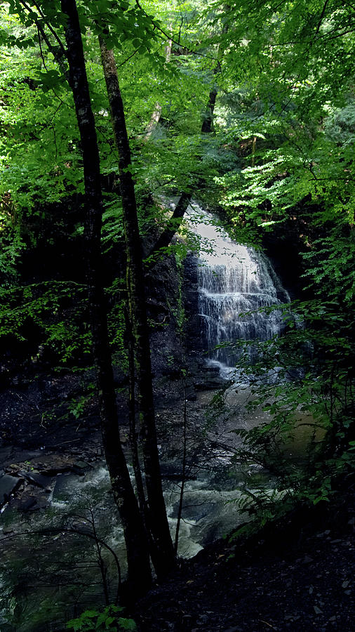 Waterfall in the Woods Photograph by Flinn Hackett