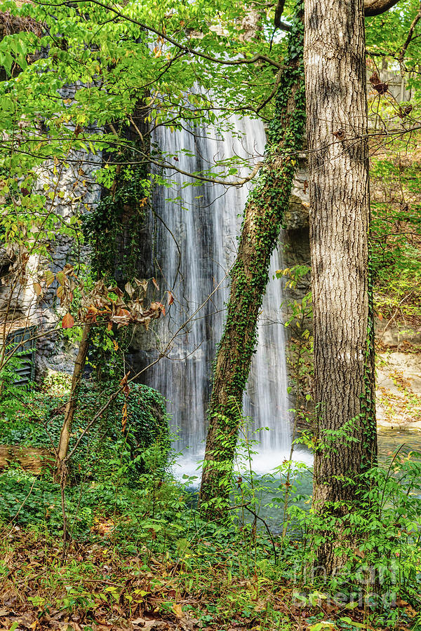 Waterfall In The Woods Photograph by Jennifer White