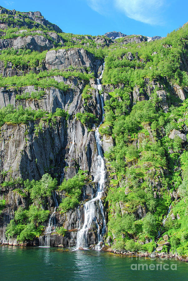 Tree Photograph - Waterfall in Trollfjord, Lofoten Islands, Norway by Nancy Gleason