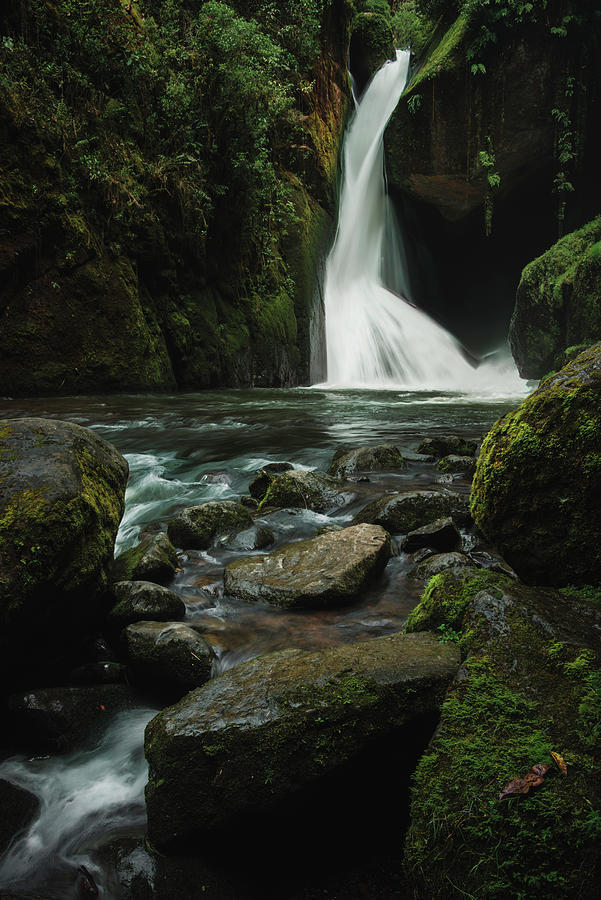 Waterfall in tropical rainforest Photograph by Oscar Gutierrez