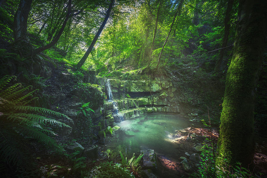 Waterfall inside a forest. Chianni, Tuscany Photograph by Stefano Orazzini