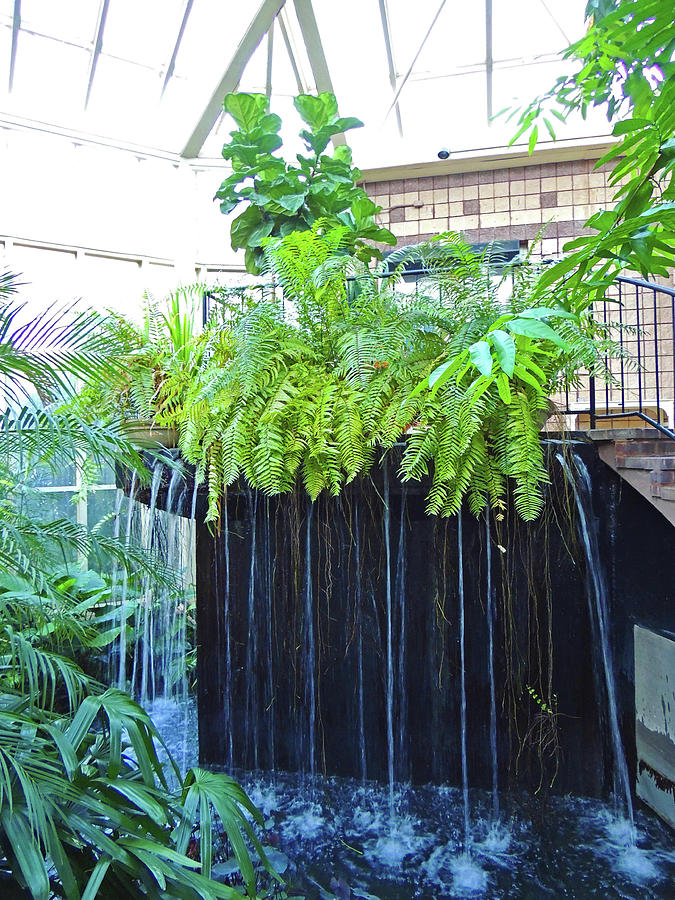 Waterfall Inside The Cecil B Day Butterfly Center Photograph By Marian ...