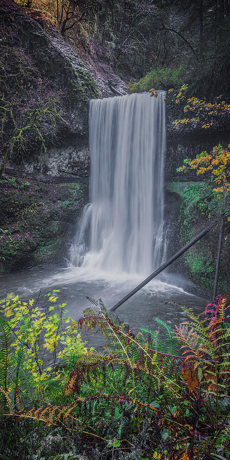 Waterfall J 1x2 Photograph by Ryan Weddle