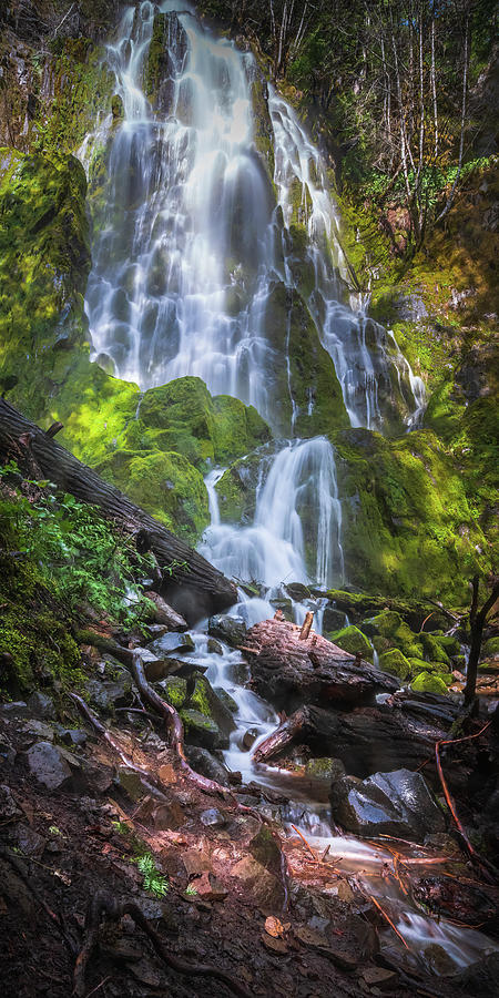 Waterfall K 1x2 Photograph by Ryan Weddle