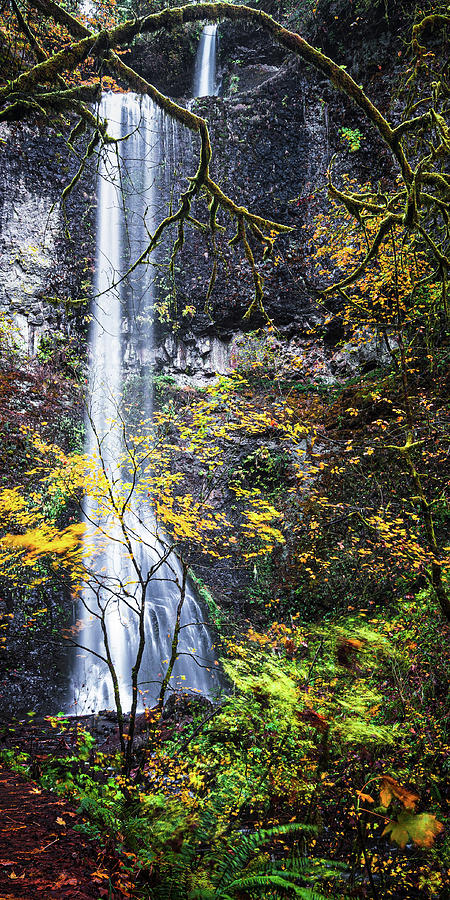 Waterfall L 1x2 Photograph by Ryan Weddle
