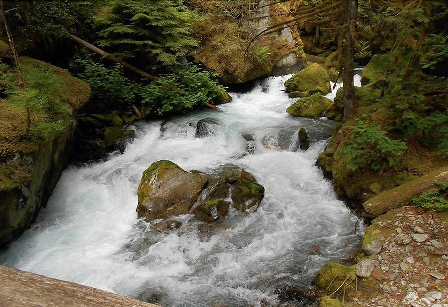 Waterfall Landscape Beautiful Nature Washington State Photograph by ...