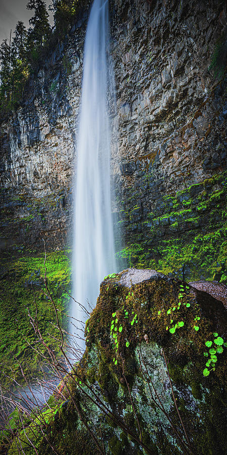 Waterfall M 1x2 Photograph by Ryan Weddle