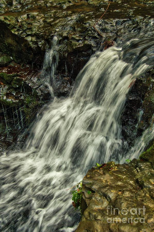 Waterfall Photograph by Mary Blum - Fine Art America