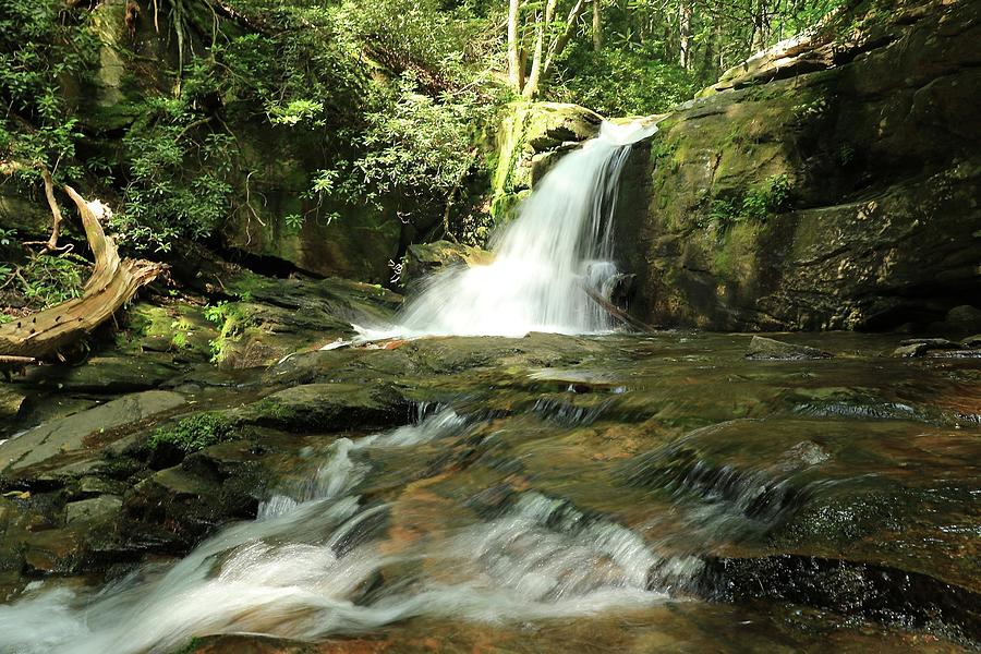 Waterfall Photograph By Melissa Saldana 