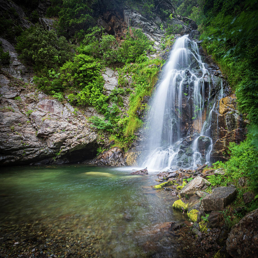 Waterfall Pyrography by Michele Costa - Pixels