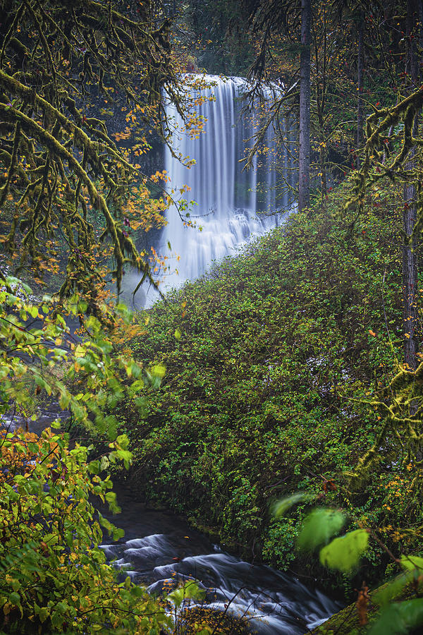 Waterfall N 1x2 Photograph by Ryan Weddle