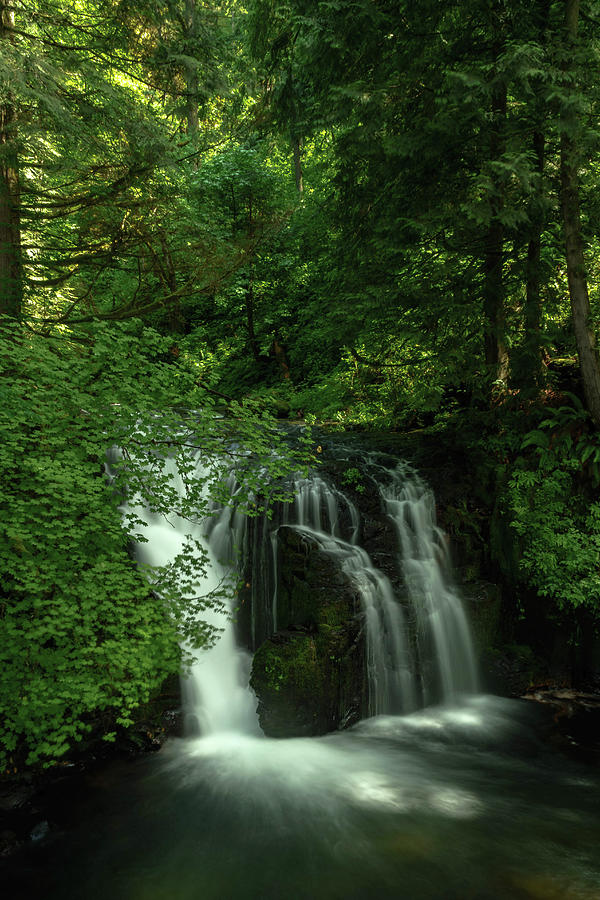 Waterfall Photograph by Nicholas Vettorel - Fine Art America