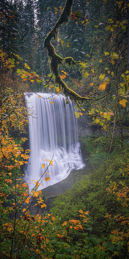 Waterfall O 1x2 Photograph by Ryan Weddle