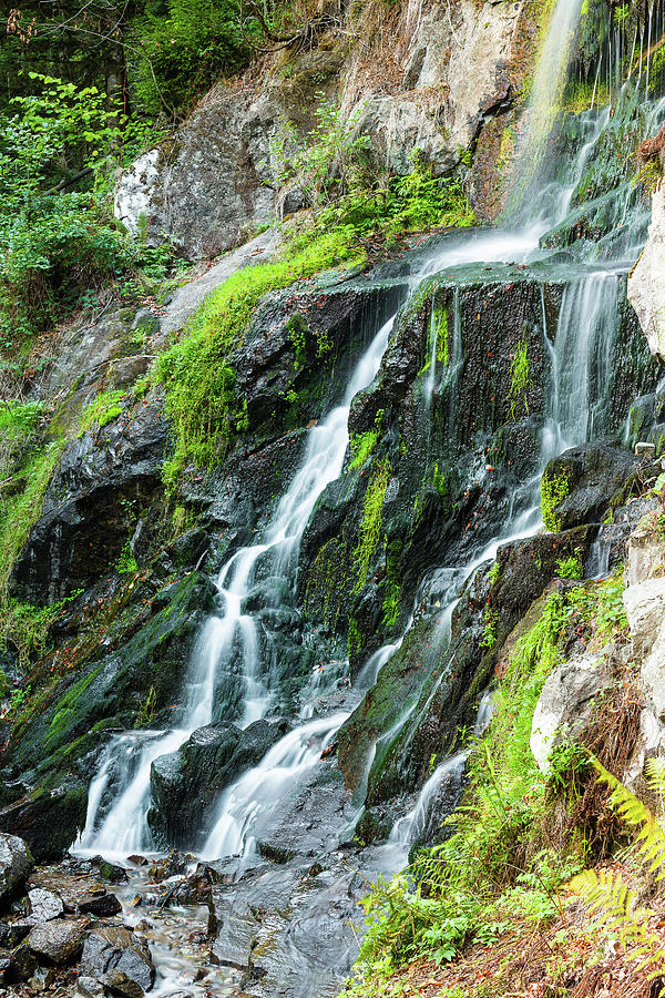 Waterfall of the Andlau - 5 - Vosges - France Photograph by Paul MAURICE
