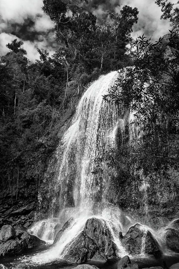 Waterfall on a tropical forest in Cuba. Vertical black and white image Photograph by Karel Miragaya