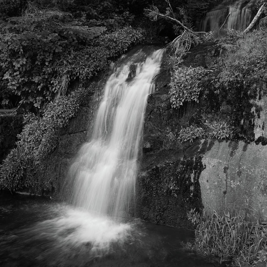 Waterfall on Marys Peak  Photograph by HW Kateley