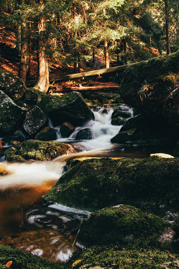 Sunny waterfall in the Jizera Mountains, Czech Republic Photograph by Vaclav Sonnek