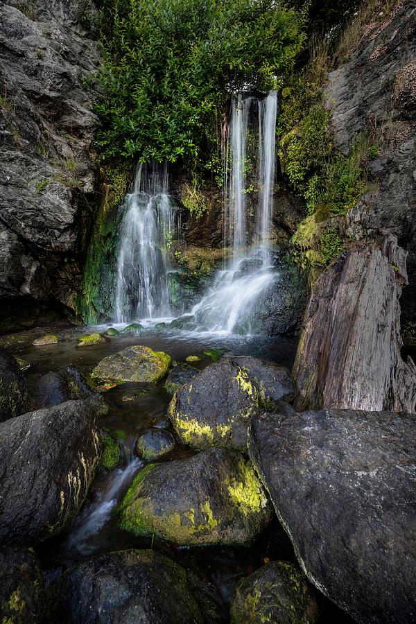 Waterfall on the west coastline of Oregon Photograph by John Wilbur Waterfall on the west coastline of Oregon Photograph by John Wilbur