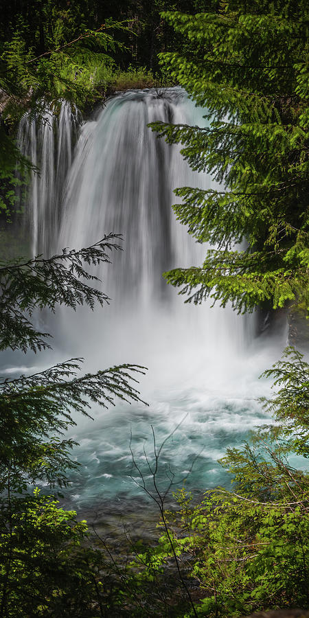 Waterfall P 1x2 Photograph by Ryan Weddle