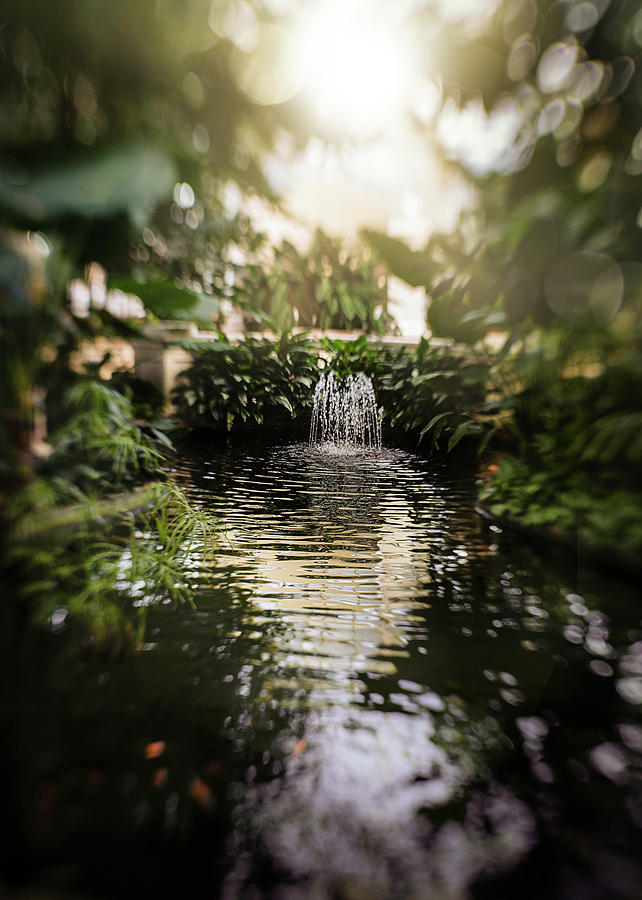 Waterfall Paradise Photograph by Nicole Engstrom