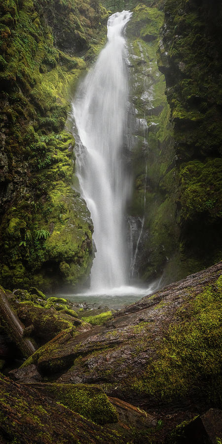 Waterfall Q 1x2 Photograph by Ryan Weddle