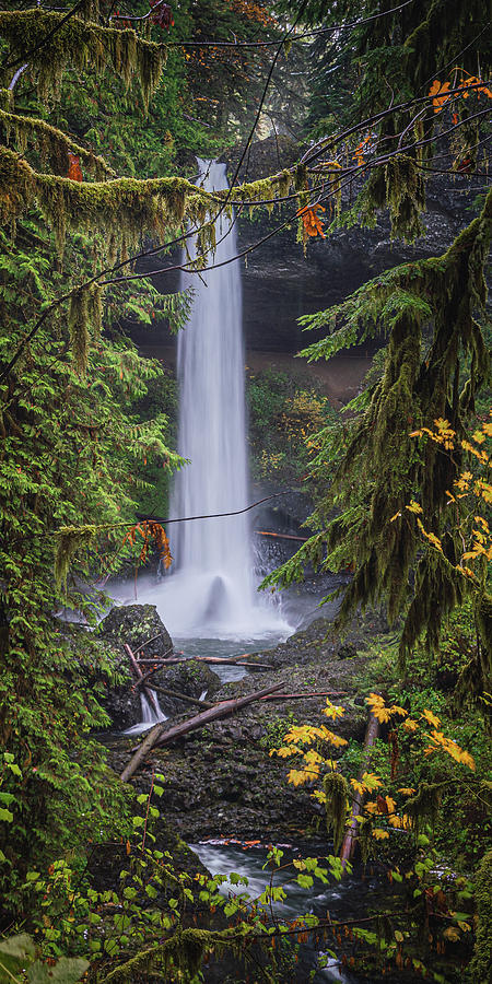 Waterfall R 1x2 Photograph by Ryan Weddle