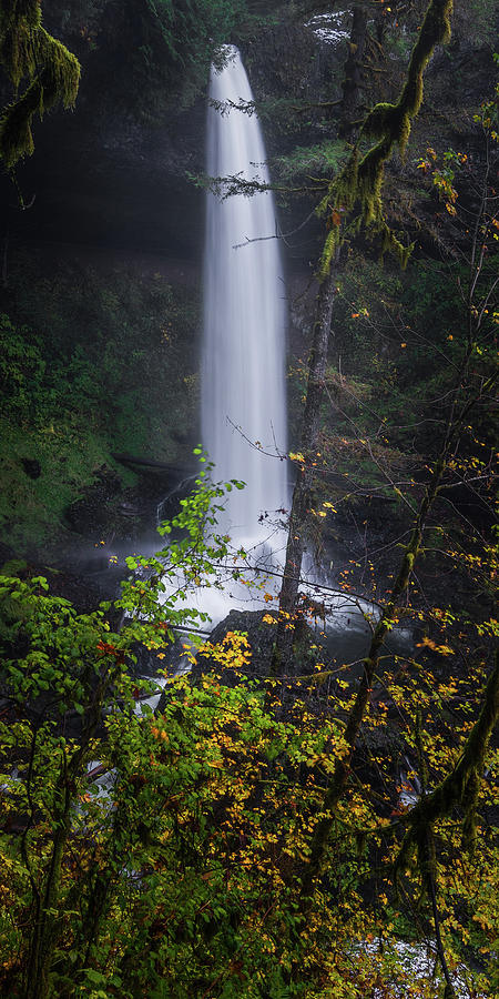 Waterfall S 1x2 Photograph by Ryan Weddle