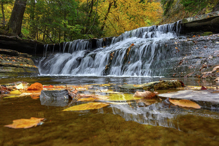 Fall Photograph - Waterfall by Sergey Potapenko