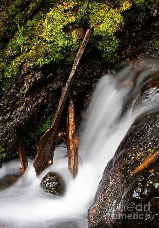 Waterfall-Signed-#0344 Photograph by J L Woody Wooden