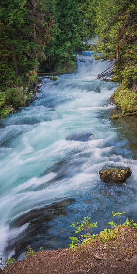 Waterfall U 1x2 Photograph by Ryan Weddle