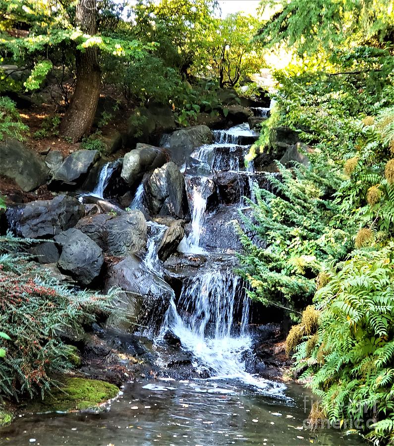 Waterfall Van Dusen Botanical Garden Vancouver Photograph