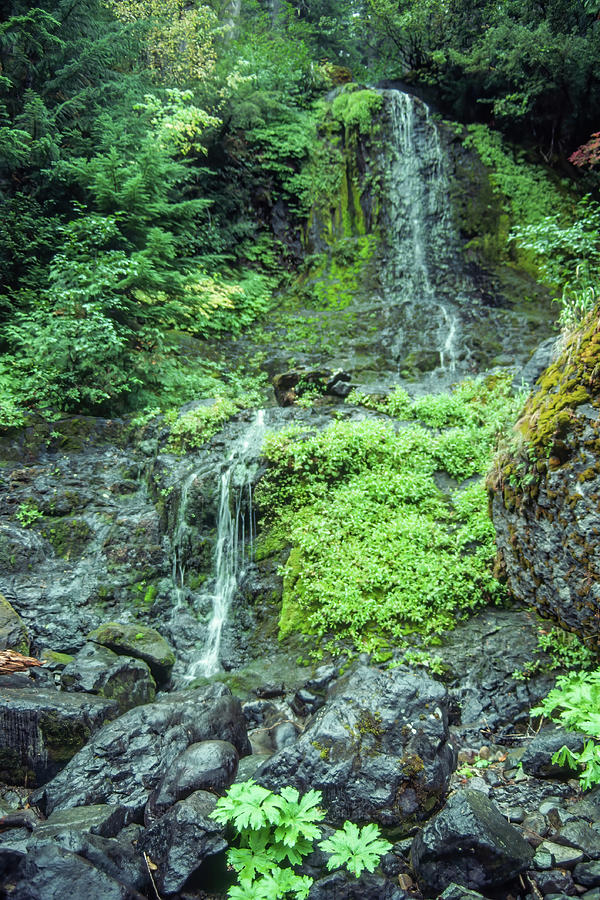 Waterfall, Wahington Photograph by MaryJane Sesto