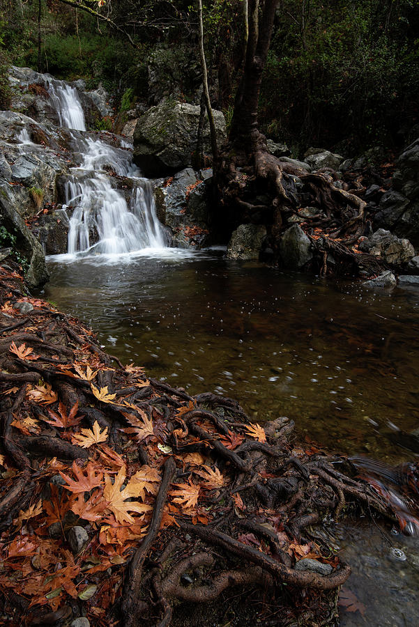 Waterfall with falling water small lake and yellow leaves on tree in autumn Photograph by Michalakis Ppalis
