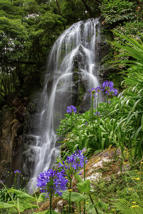 Waterfall with Flowers Photograph by Denise Kopko