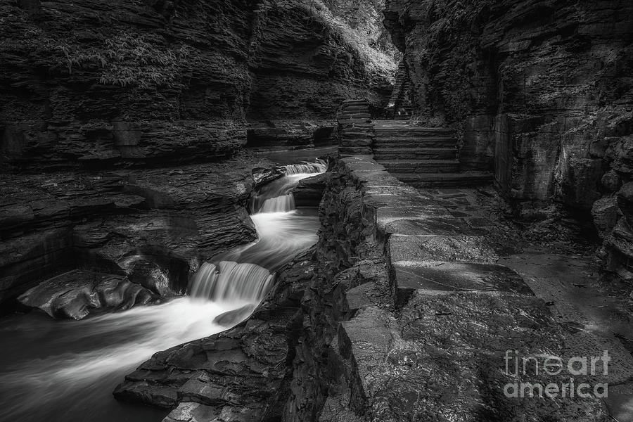 Waterfalls From The Glen Bw Photograph