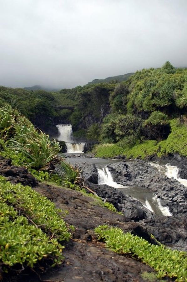 Waterfalls galore in Maui Hawaii Photograph by Tracey Neiman - Fine Art ...