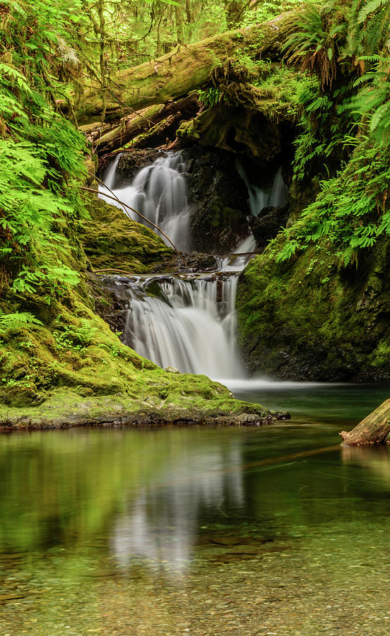 Waterfalls in Washington Photograph by Colleen McIntier Fine Art America