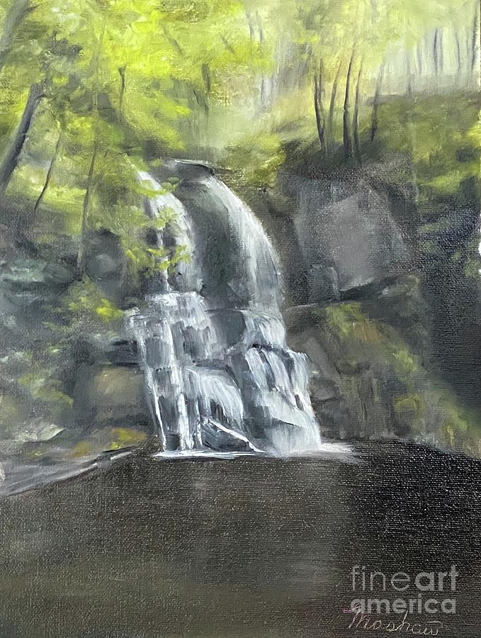 Waterfalls  Painting by Sheila Mashaw