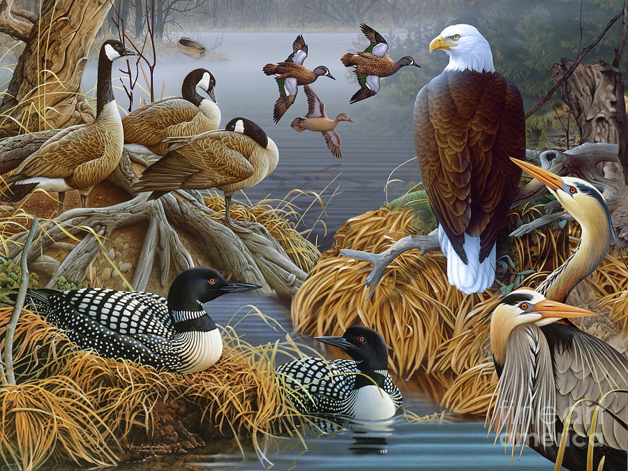 Waterfowl Collage Painting by Jerry Gadamus
